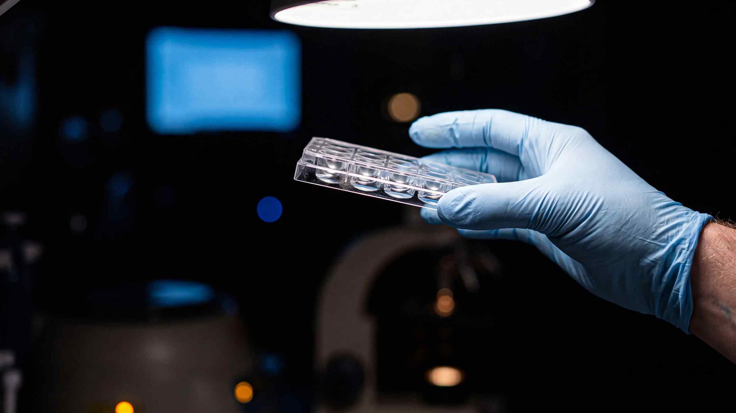 An image of a longevity lab.